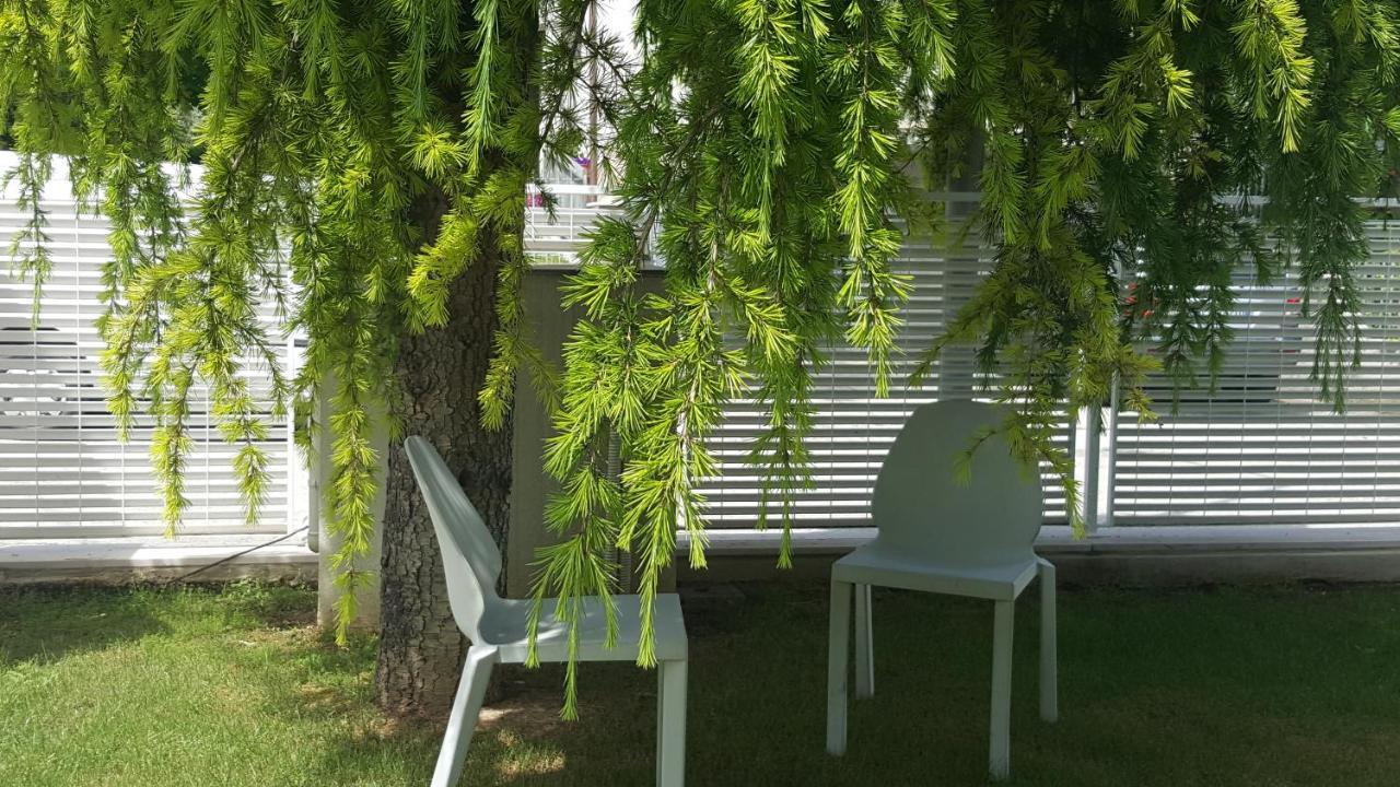 B&B "Al Colle 11" Fano Exteriör bild